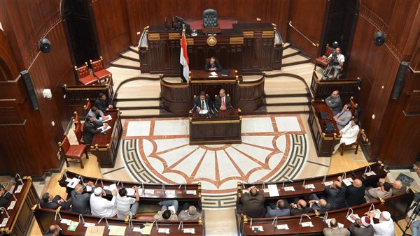 المستشار عصام الدين