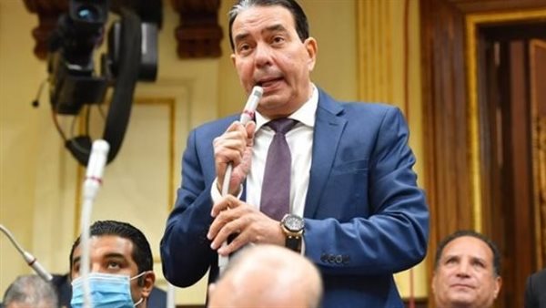 النائب أيمن أبو العلا