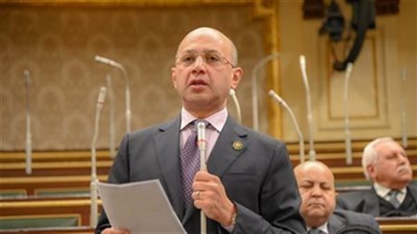 النائب هشام حسين