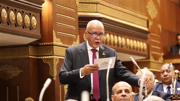 النائب حازم الجندي