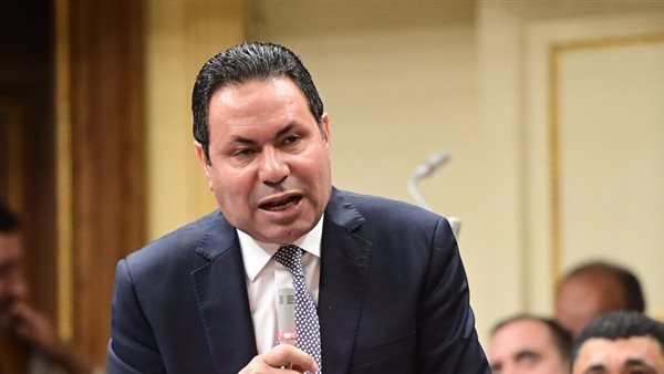  النائب هشام الحصرى