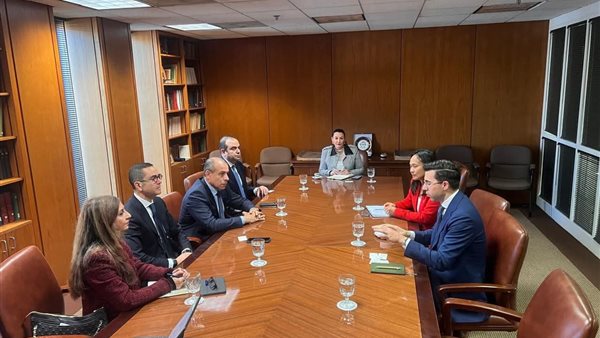 وزير الاستثمار 