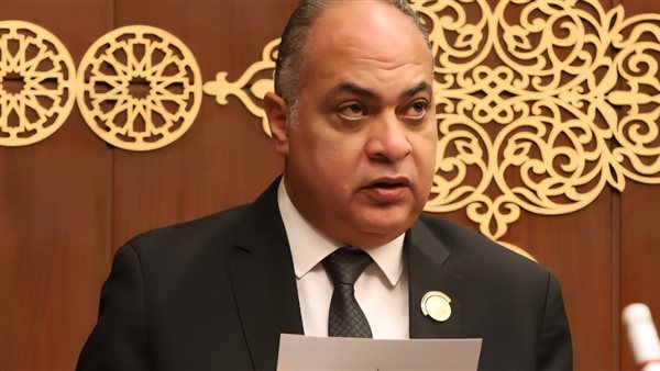 النائب أيمن الهواري