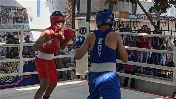 الاتحاد المصري للملاكمة