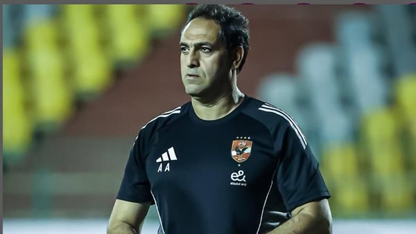 أمير عبد الحميد 