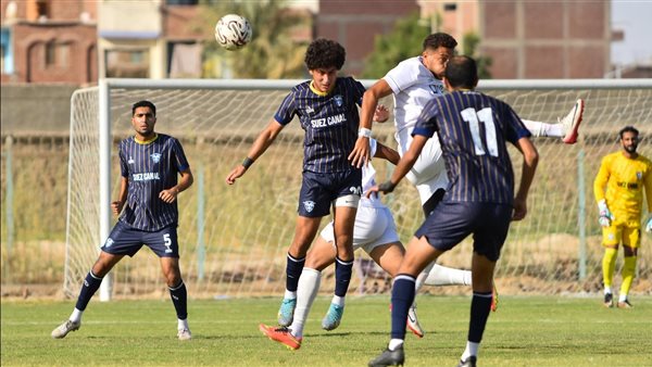 بورفؤاد وقرية عامر