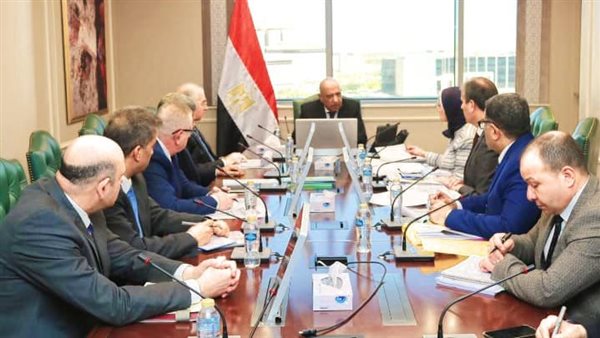 وزير الكهرباء 