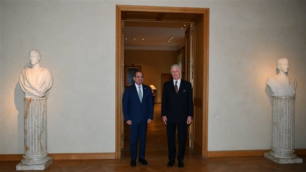 الرئيس السيسى