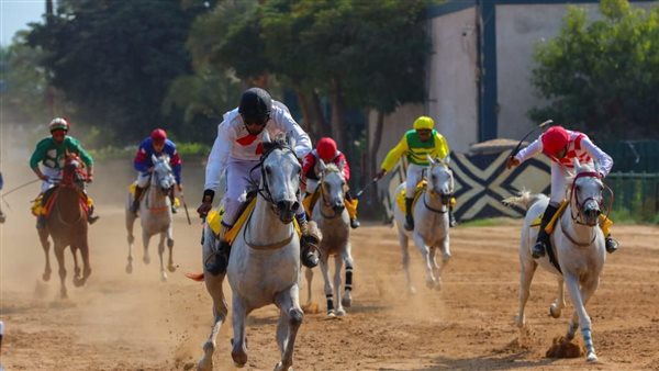 كأس دولة الامارات