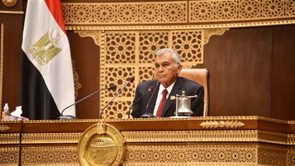 المستشار عصام الدين