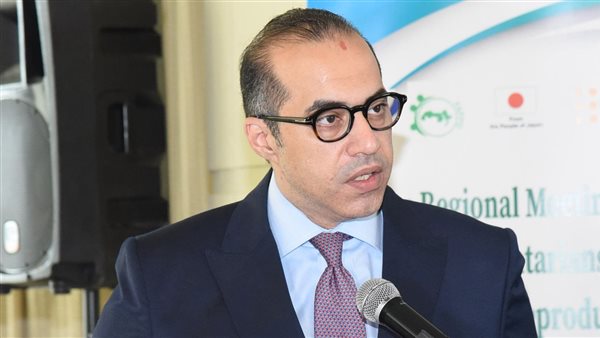 المستشار محمود فوزي