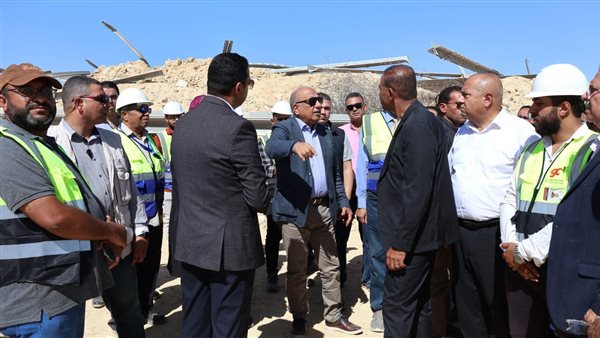 وزير الكهرباء 