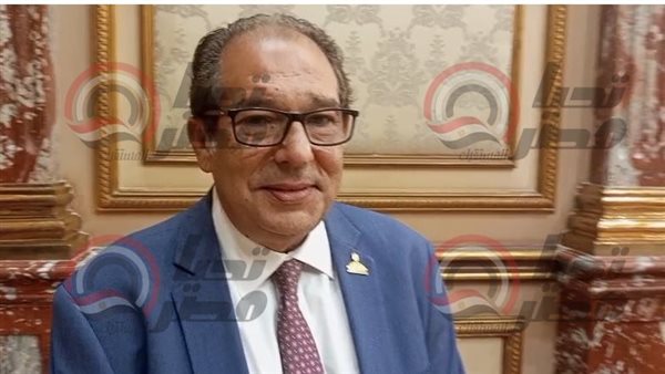  النائب حسام الخولي