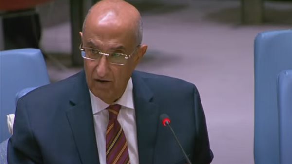 السفير ماجد عبدالفتاح