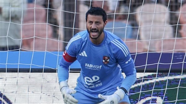 محمد الشناوي 