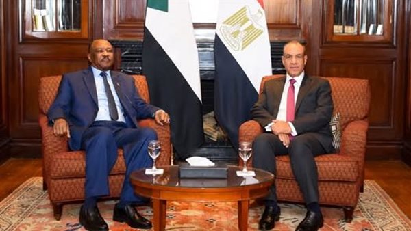 وزيرا خارجية مصر