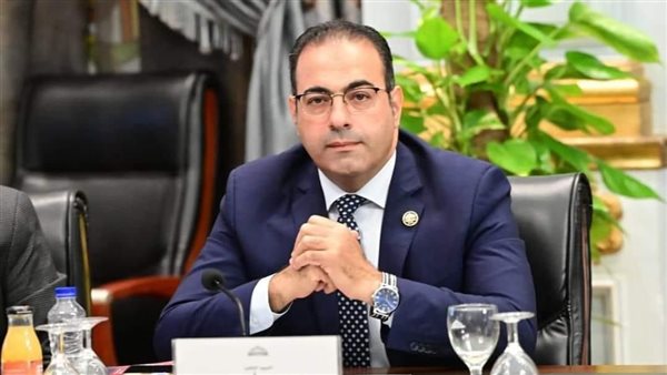  النائب الدكتور محمود