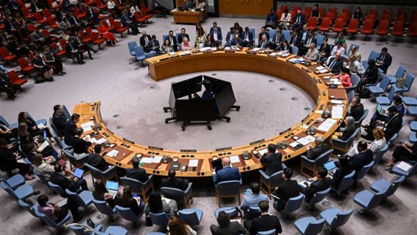 مجلس الأمن الدولي