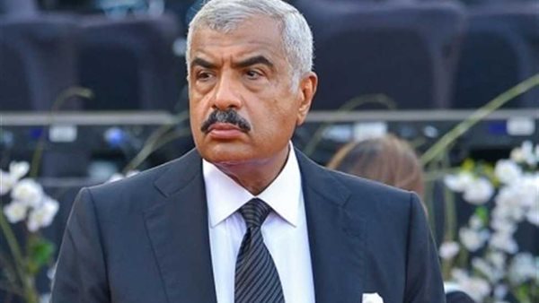 هشام طلعت مصطفى 