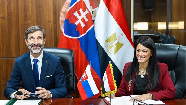 وزيرة التخطيط 