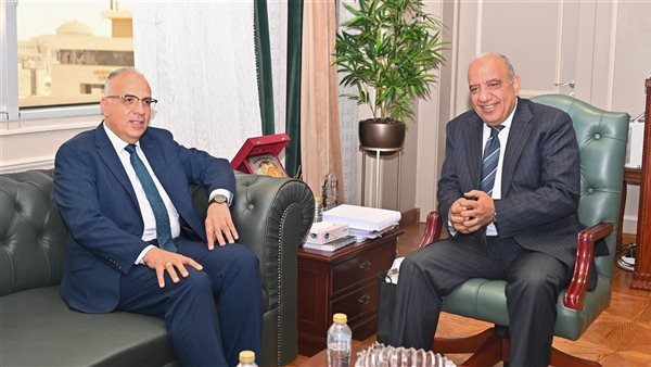 وزير الكهرباء 