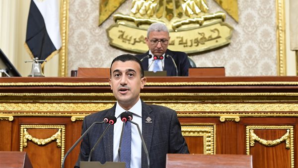 النائب طارق الخولي