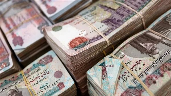 السيولة المحلية 