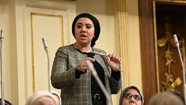 النائبة أميرة صابر