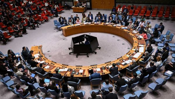 مجلس الأمن الدولي