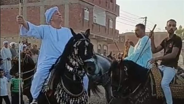 الخيول من أهم أنشطة