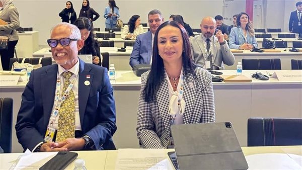 وزيرة التضامن الإجتماعى