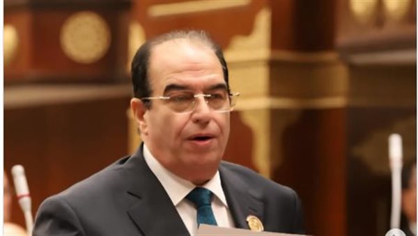 النائب أحمد الشعراوي