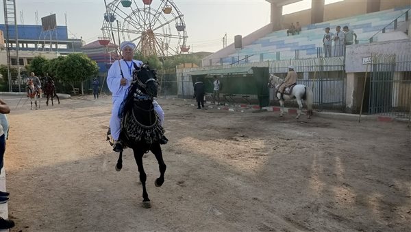 عروض المرماح ضمن