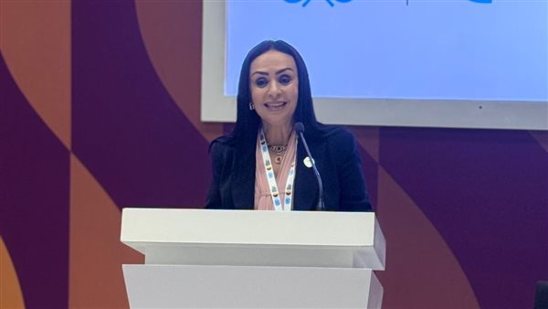 وزيرة التضامن الإجتماعى