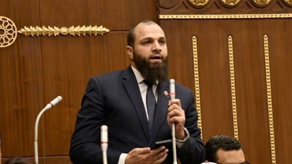 النائب محمود تركي،