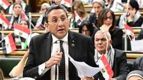 الدكتور إيهاب رمزي،