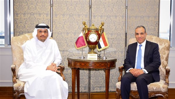 وزيرا خارجية مصر