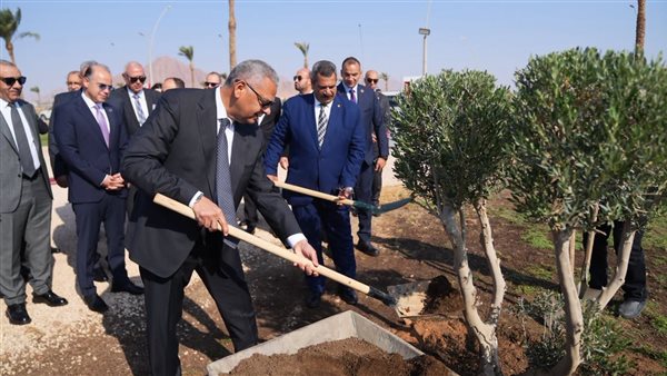 جانب من المبادرة