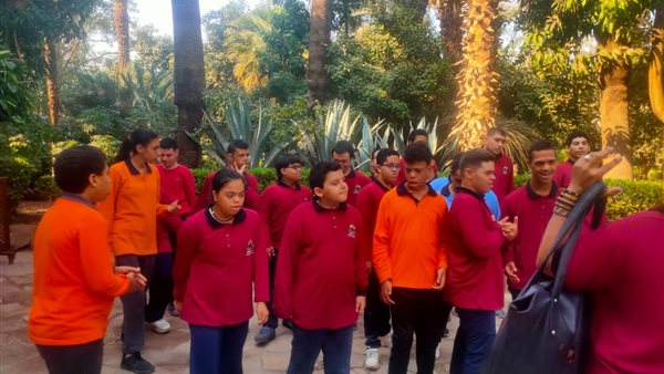 جولات أتوبيس الفن