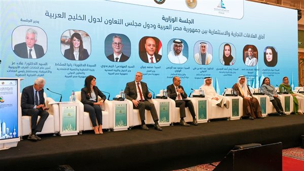 وزير البترول 