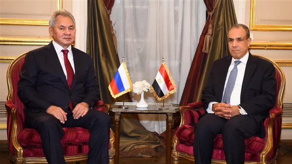 بدر عبد العاطي -