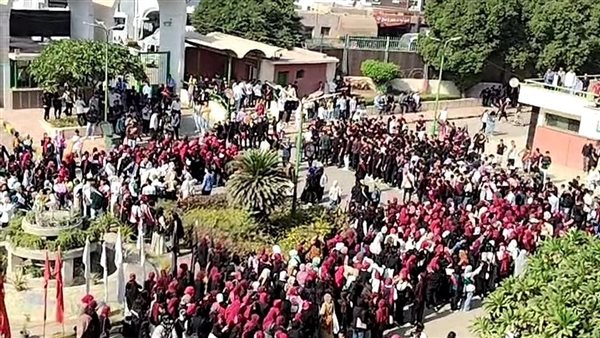 جانب من المشاركة