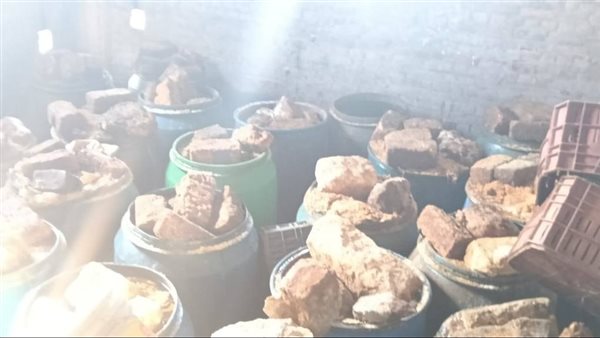 ضبط أسماك فاسدة