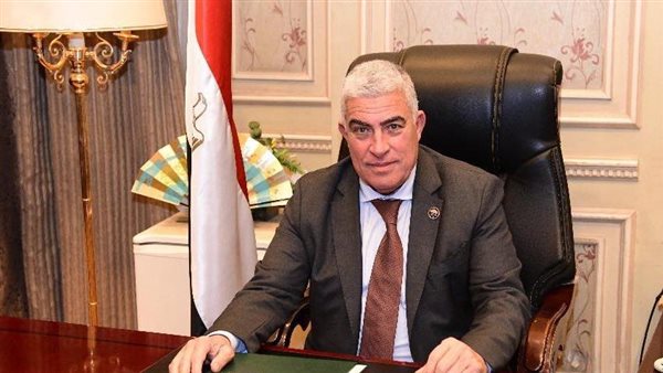 مرشح حزب مستقبل وطن