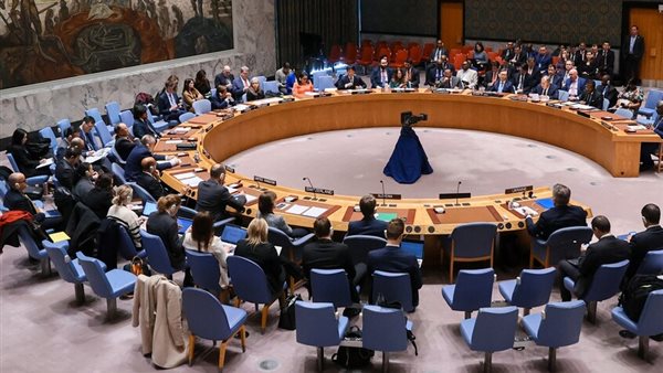 مجلس الأمن الدولي