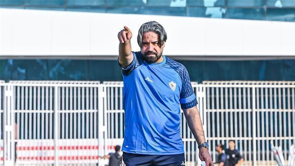 مدحت عبد الهادي