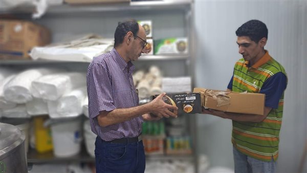 حملة التفتيش