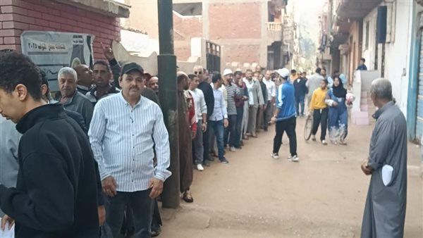 جانب من الانتنخابات