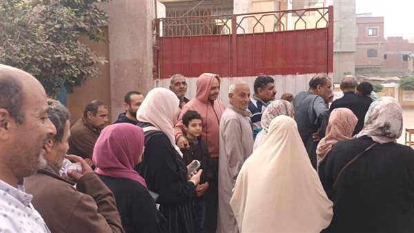 جانب من الانتخابات