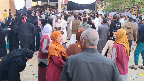 الانتخابات 